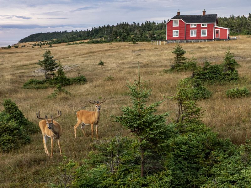 Baie Ste-Claire, crédit photo QVO